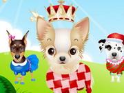 The Cutest Puppy Competition