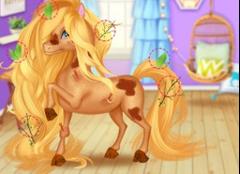 The Cute Pony Care