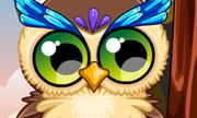 Cute Owl 