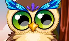 Cute Owl 