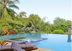 Allure Escape Tropics