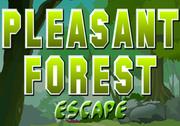 Pleasant Forest Escape