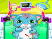 ASMR Cat Doctor Clinic