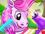 Pony Pet Salon
