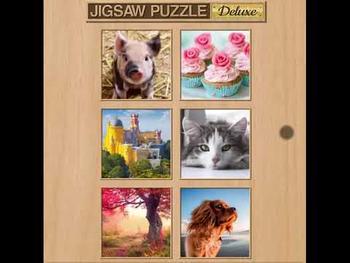 Jigsaw Puzzle Deluxe 🕹️ 💡