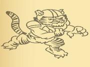 Tiger Coloring Book