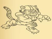 Tiger Coloring Book