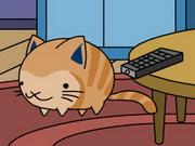 Playful Kittens Game