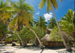 Beach Bungalow Escape