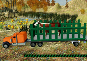 Truck Transport Domestic Animals