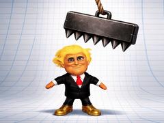 Trump the Ragdoll
