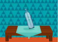 Bottle Flip Challenge