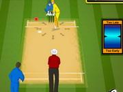 Ipl Cricket 2013
