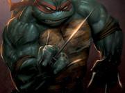 Ninja Turtles Sliding