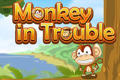 Monkey In Trouble
