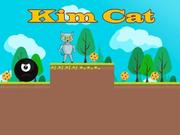 Kim Cat Game