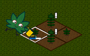 Hemp Tycoon