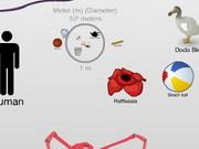 The Scale Of The Universe 2