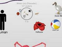 The Scale Of The Universe 2