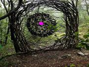 Thanksgiving Turkey Cage Escape