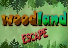 Woodland Escape