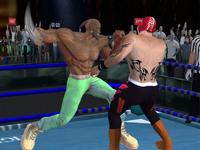 Play Tag Boxing Games: Punch Fight Online for Free on PC & Mobile