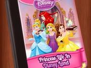 Princess Writer Life