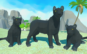 Panther Family Simulator 3D