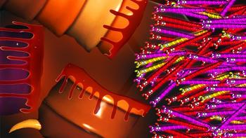 SMALLEST WORM BITES TROUGH BIGGEST SNAKE EVER MADE? (BUILD YOUR TINY SNAKE ARMY) l Sworm.io Update 