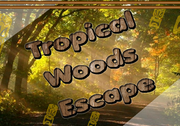Tropical Woods Escape