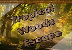 Tropical Woods Escape