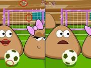 Pou Differences