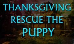 Thanksgiving Rescue The Puppy