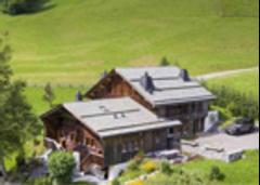 Lush Mountain Escape