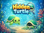Hidden Turtle
