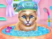 Kitty Spa And Feeding