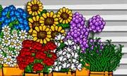 Flower Shopkeeper 2