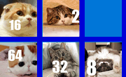 2048 Cats