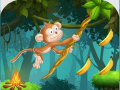 Monkey s ropes 