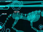 Battle Robot Wolf Age