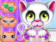 Kitties Newborn Caring