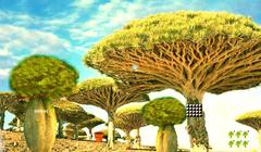 Escape Seedling Afforest