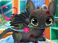 Princess Elsa Dragon Grooming