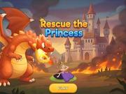 Rescue The Princess