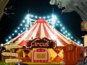 Jester Broke Out Game