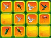 Birds Matching Games