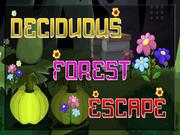 Deciduous Forest Escape
