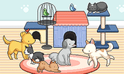 Pet Daycare Decoration