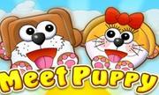 Meet Puppy