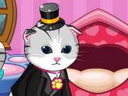 Cats And Dogs Grooming Salon